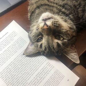 Meet your Posher, Rob